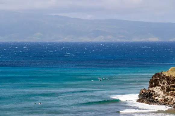 Casombie Casino Supporto